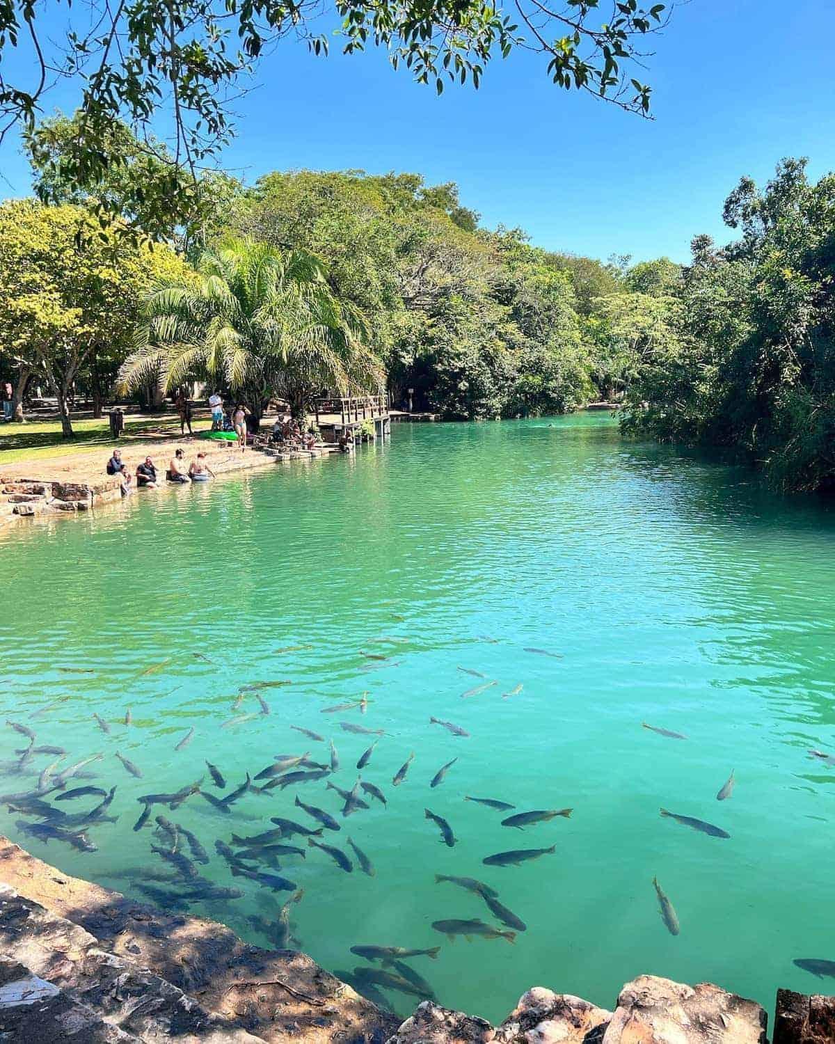 Barra Bonita Pousada Bonito (Mato Grosso do Sul) Exterior foto